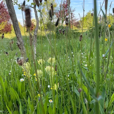 度假居 Pierre De Jade Neuille-Pont-Pierre
