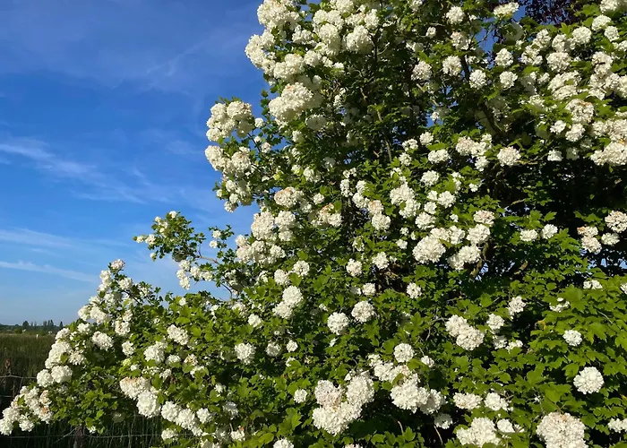 Σπίτι διακοπών Pierre De Jade