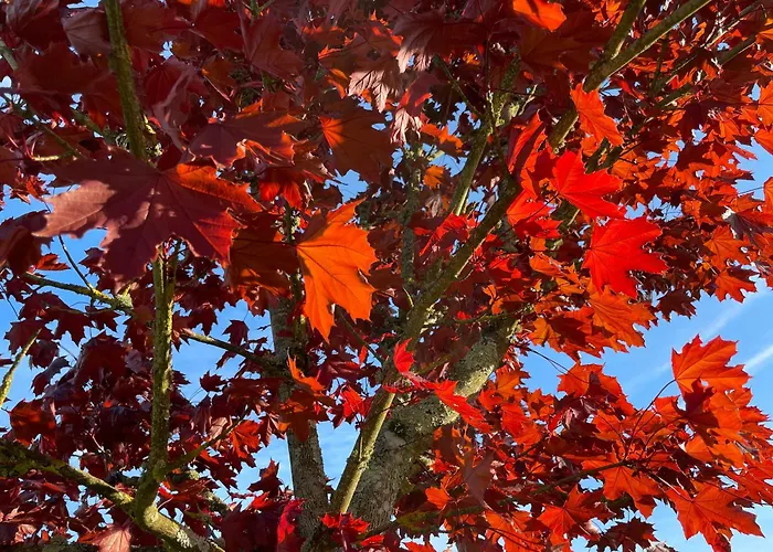 Σπίτι διακοπών Pierre De Jade *