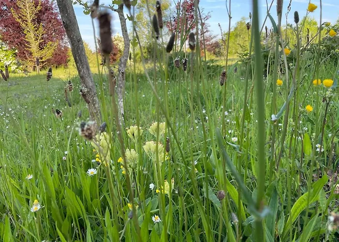 Σπίτι διακοπών Pierre De Jade Neuille-Pont-Pierre