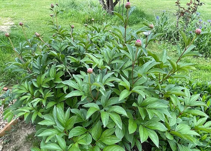 Pierre De Jade Σπίτι διακοπών